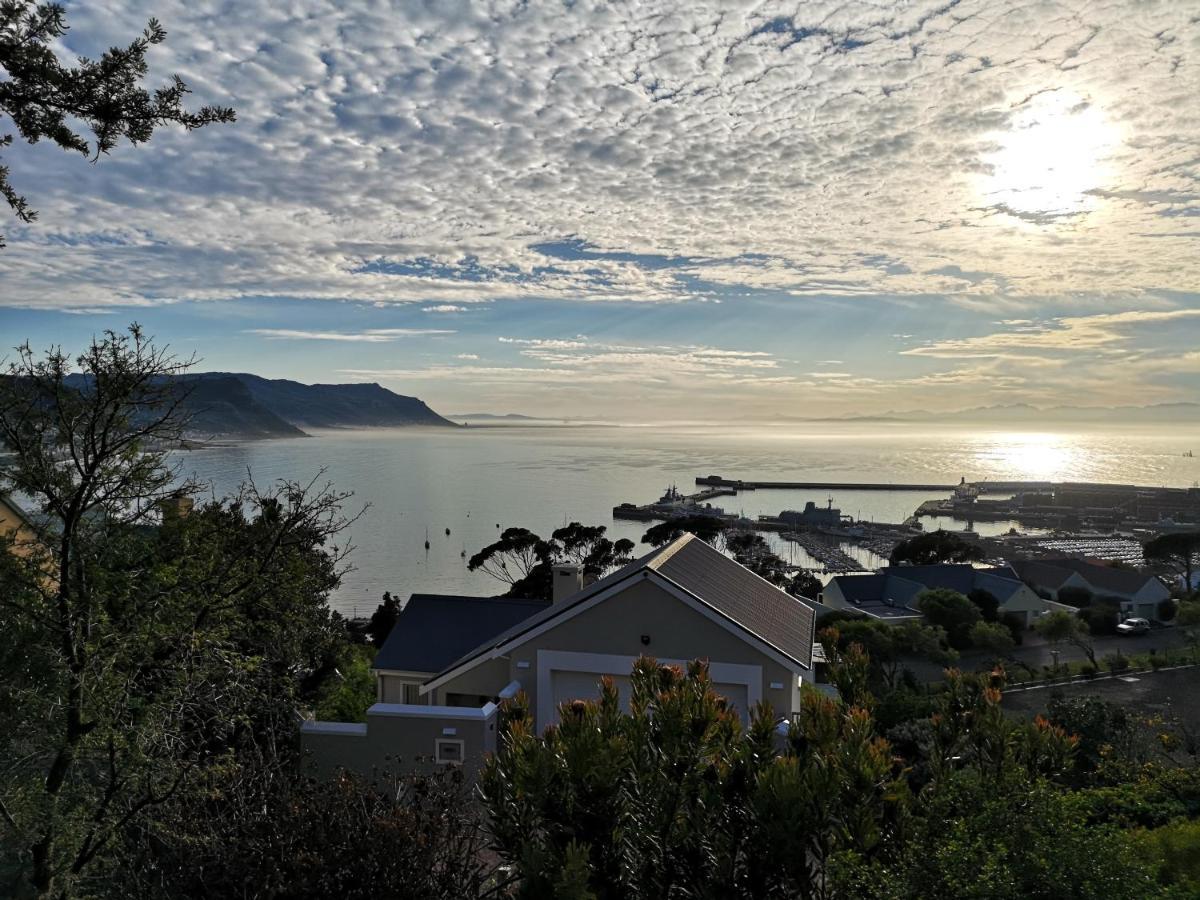 ホテル アルバトロス ハウス Simonʼs Town エクステリア 写真