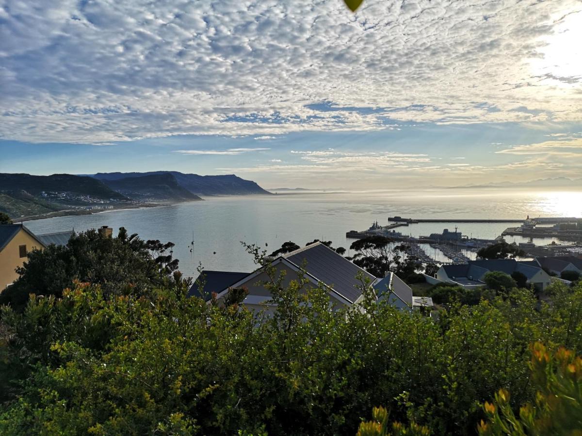 ホテル アルバトロス ハウス Simonʼs Town エクステリア 写真